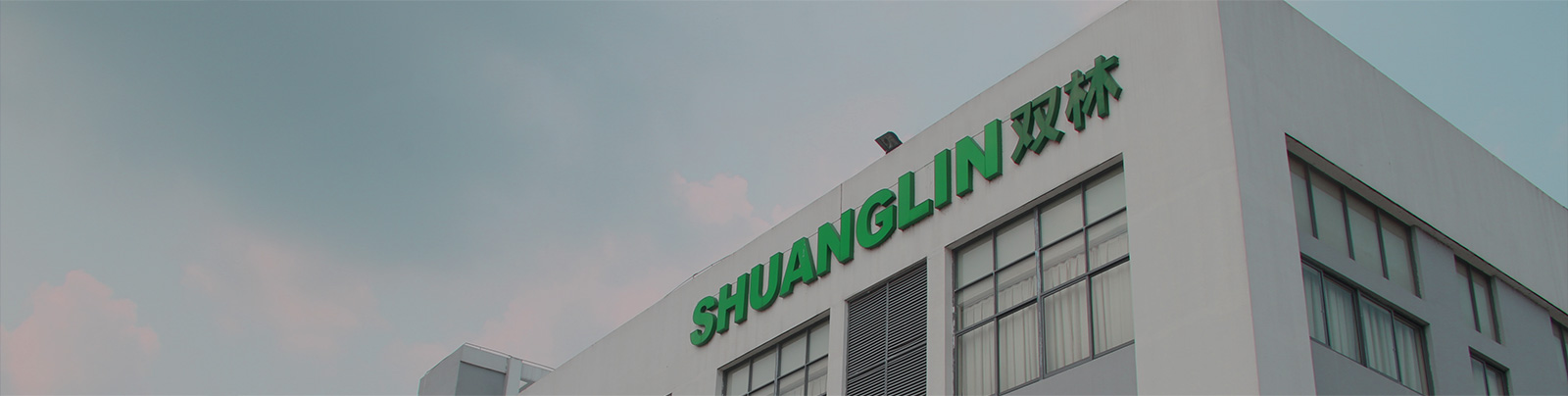 J9集团股份站群